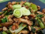 American Spicy Stir Fried Chicken With Greens and Peanuts Appetizer