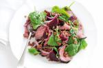 British Warm Lamb Beetroot and Lentil Salad Recipe Appetizer