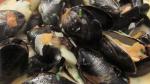 Steamed Mussels with Fennel Tomatoes Ouzo and Cream Recipe recipe