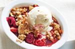 American Berry Delicious Crumble Recipe Dessert