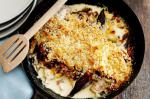 American Witlof Gratin With Speck Recipe Appetizer