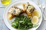 Canadian Herbrubbed Blueeye Trevalla On Corn And Feta Polenta Triangles Recipe Appetizer