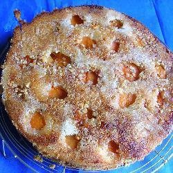 Canadian Toppled Apricot Cake Dessert