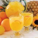 American Sunny Citrus Cooler Appetizer
