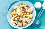 Canadian Classic Potato Salad Recipe 2 Appetizer