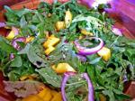 American Green Salad With Romaine Lettuce and Mangoes Appetizer