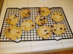 American Macadamia Butter Cookies With Dried Cranberries Dessert