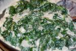 American Absolutely the Best Creamed Spinach Appetizer