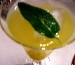 British Mango Tango Iced Green Tea Appetizer