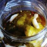 American Great Grandpas Garlic Pickles Recipe Appetizer
