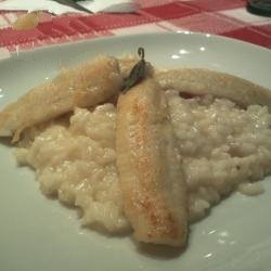 American Risotto Con Pesce Persico Appetizer