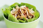 American Chicken Peanut Salad Recipe Appetizer