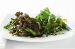 American Hoisin Beef Strips With Snowpea Sprout Salad Recipe Appetizer