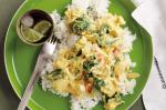 Canadian Chicken And Spinach Curry Recipe 1 Appetizer