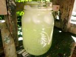 American Lemonade Made With Stevia Appetizer