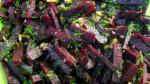 American Beet and Walnut Salad with Dill Dinner