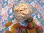 American Strawberry and Apricot Ice Cream Dessert