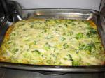 Swiss Nocrust Broccoli Quiche 1 Dinner