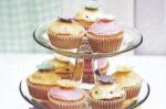 British Pretty Cupcakes Recipe Dessert