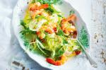 British Prawn Fennel And Rocket Salad Recipe Appetizer