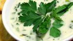 British Cream of Herb Soup Recipe Appetizer