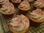 American Pink Lemonade Cupcakes Appetizer