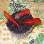 American Chocolate Muffins with Worms 1 Dessert