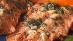 American Marinated Wild Salmon Recipe Appetizer