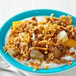 American Slow Cooker Honey Granola Dessert