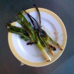 Mexican Spring Onions of the Barbecue on Mexican Manner cebollitas Appetizer