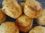 American Seriously Strong Scottish Cheese Scones Appetizer