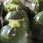 American Courgettes Stuffed Round Appetizer