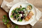 American Dukkah Salmon On Rice And Quinoa With Kale And Beetroot Recipe Appetizer