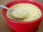 American Broccoli Cheese Soup in the Crock Pot Dinner