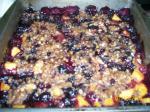 American Nectarine Blueberry Crisp Dessert