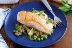 British Salmon With Braised Fennel Pesto Beans And Peas Recipe Appetizer