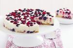 British White Chocolate And Berry Cheesecake Recipe Dessert