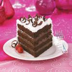 American layer Chocolate Torte Dessert
