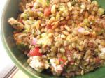American Lentil Tomato and Goat Cheese Salad Dinner