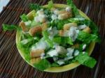 American Kittencals Famous Caesar Salad Appetizer