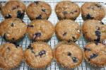 American Blueberry Muffins 94 Dessert