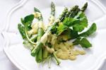 American Asparagus With Quick Hollandaise Recipe Appetizer