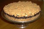 American Blueberry Crunch Cake Appetizer