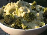 American Broccoli With Onion Cheese Sauce Appetizer