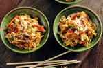 American Ginger Chicken And Peanut Noodles Recipe Appetizer
