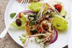 American Grilled Scampi With Greek Salad Recipe Appetizer