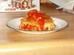 Mexican Chicken Enchilada Lasagna Bundles Appetizer