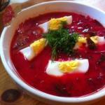 American Borsch with Mushrooms and Beetroot Dressing Straw Content or Tough Straw Appetizer