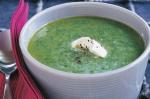 American Creamy Spinach Soup Recipe 3 Appetizer