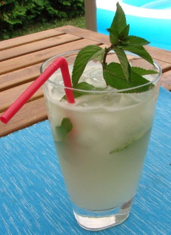 American Mojito De Mentha Appetizer